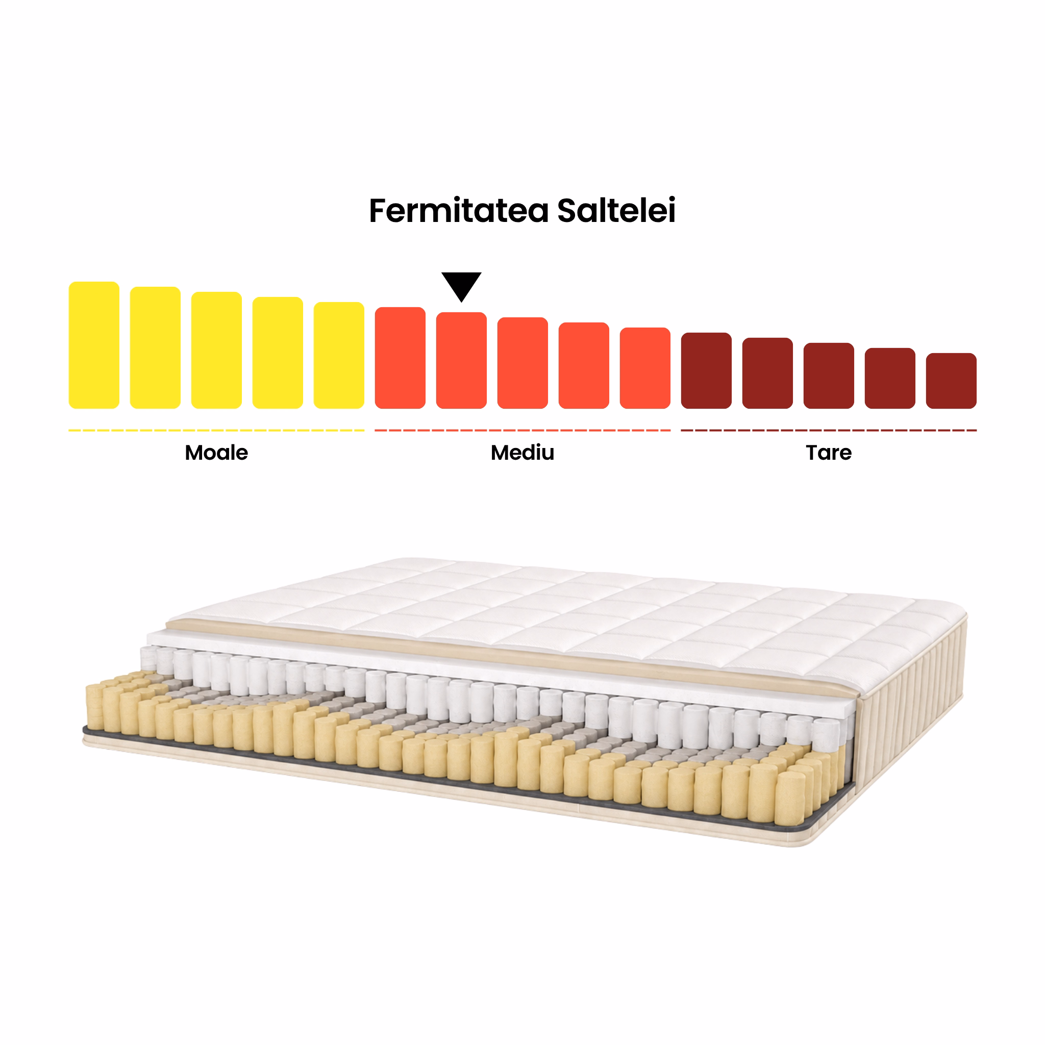 fermitate saltea