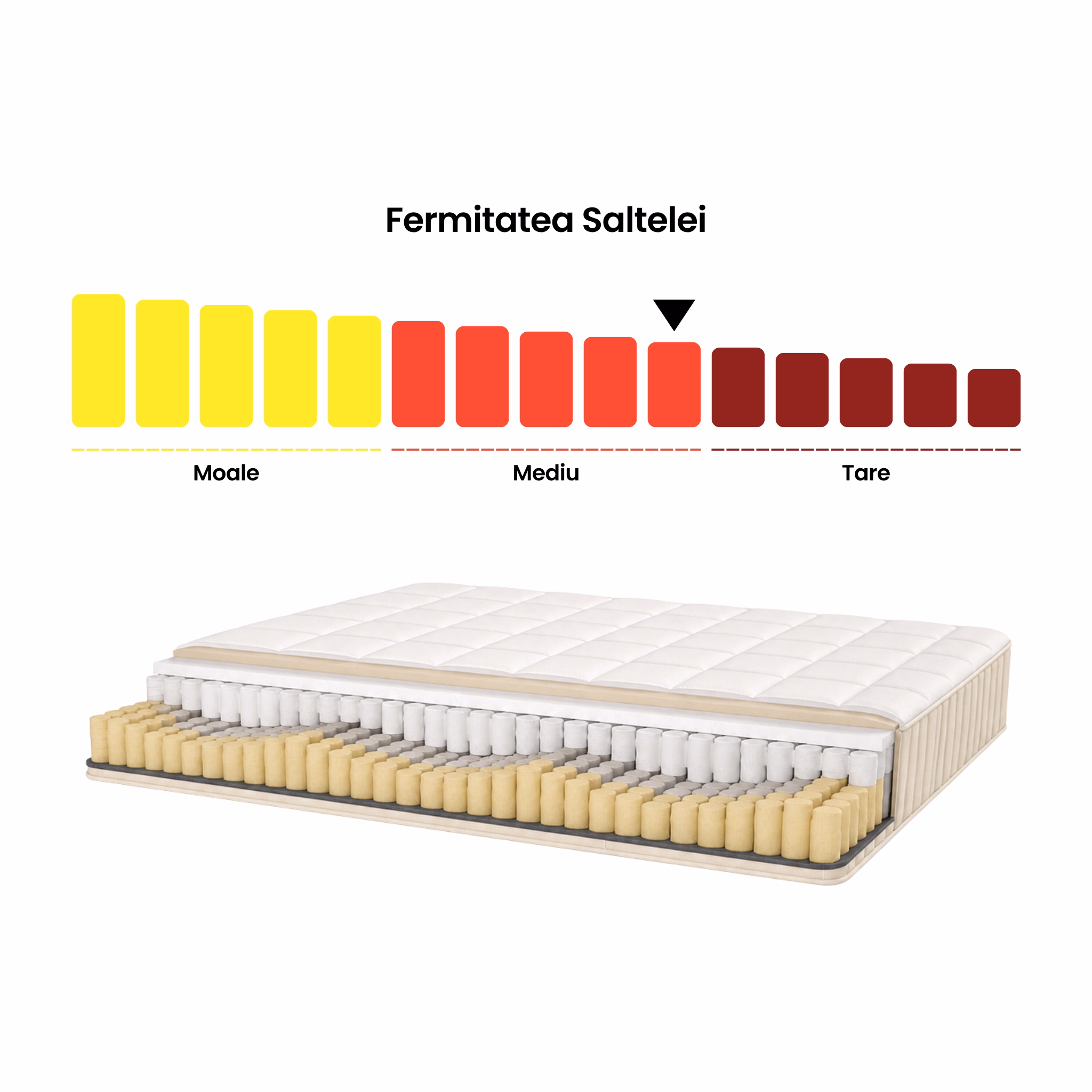 fermitate saltea