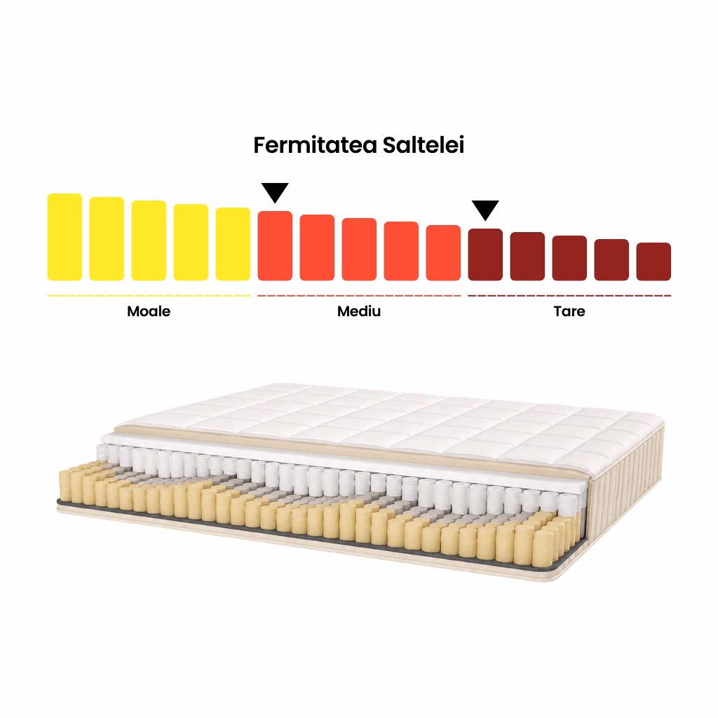 fermitate saltea