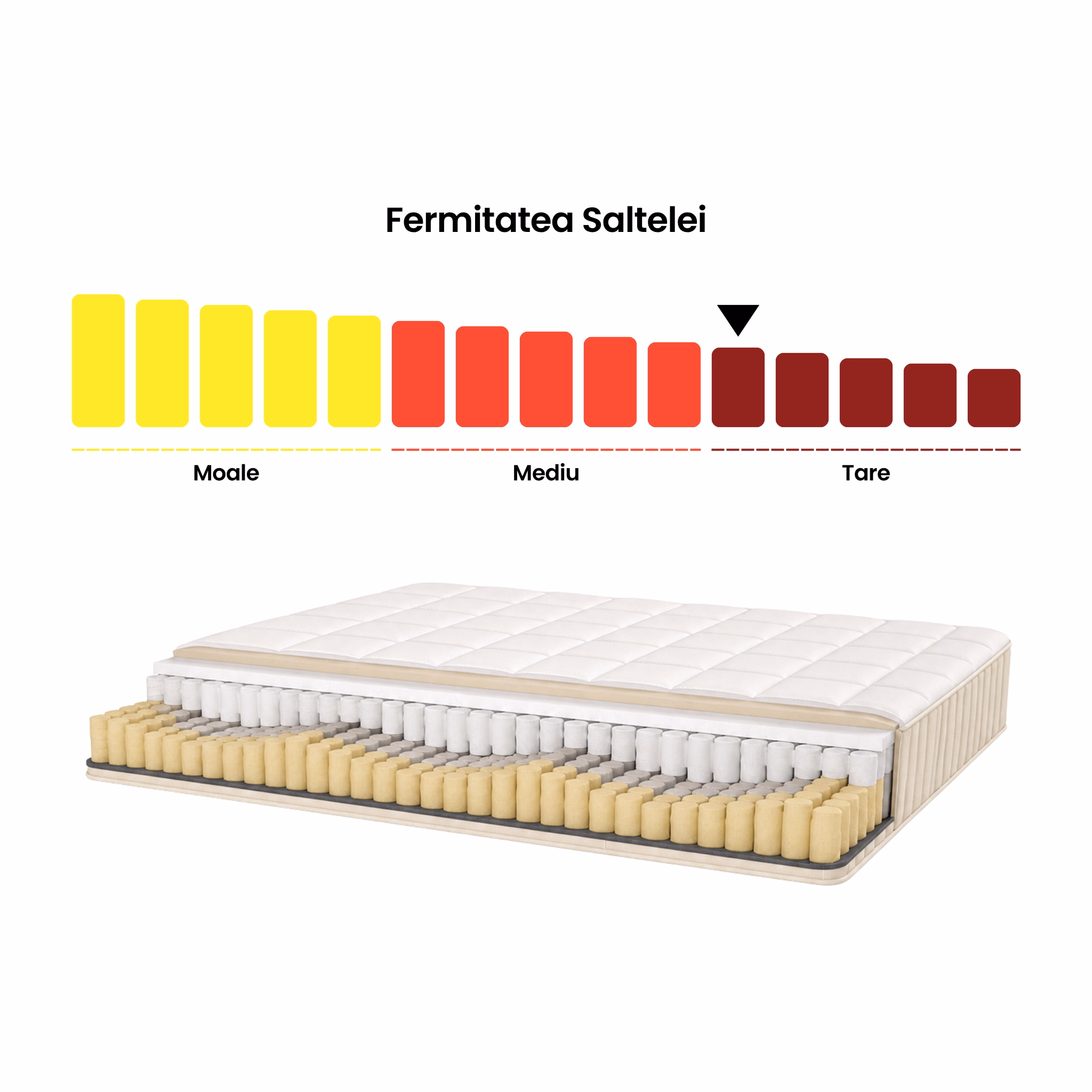 fermitate saltea