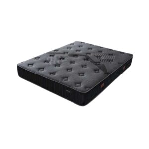 saltea blackberry